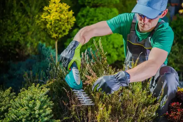 landscaping services New Holland